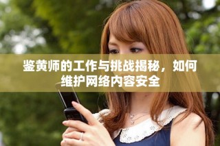 鉴黄师的工作与挑战揭秘，如何维护网络内容安全