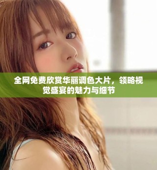 全网免费欣赏华丽调色大片，领略视觉盛宴的魅力与细节