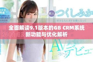 全面解读9.1版本的GB CRM系统新功能与优化解析