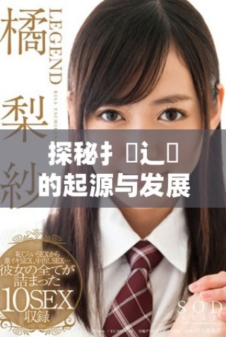 探秘扌喿辶畐的起源与发展历程及其现代应用解析