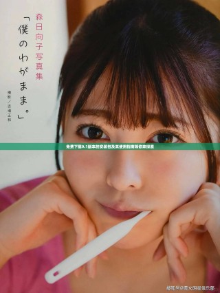 免费下载9.1版本的安装包及其使用指南等你来探索