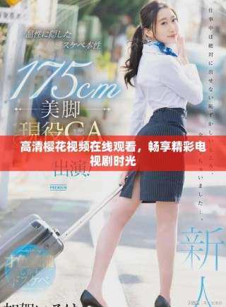 高清樱花视频在线观看，畅享精彩电视剧时光