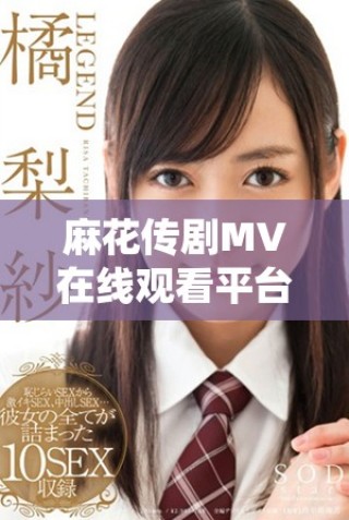 麻花传剧MV在线观看平台推荐，无痕观看尽享精彩内容