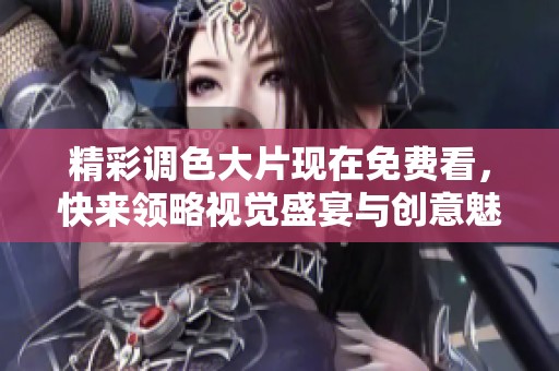 精彩调色大片现在免费看，快来领略视觉盛宴与创意魅力吧！