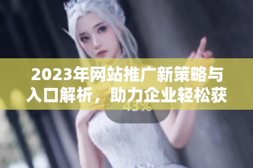 2023年网站推广新策略与入口解析，助力企业轻松获取流量