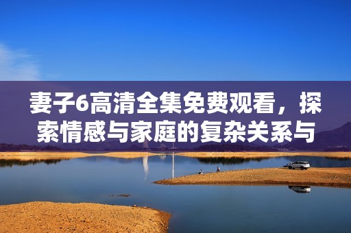 妻子6高清全集免费观看，探索情感与家庭的复杂关系与深度故事