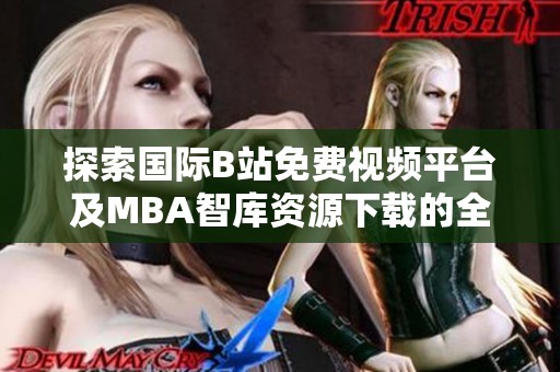 探索国际B站免费视频平台及MBA智库资源下载的全新体验
