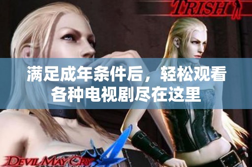 满足成年条件后，轻松观看各种电视剧尽在这里