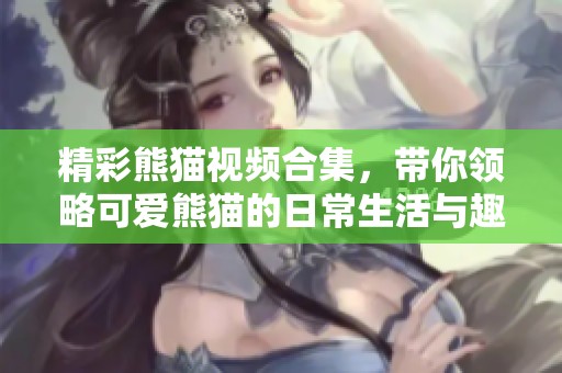 精彩熊猫视频合集，带你领略可爱熊猫的日常生活与趣味瞬间