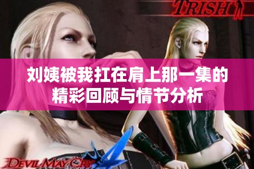 刘姨被我扛在肩上那一集的精彩回顾与情节分析