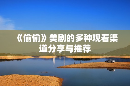 《偷偷》美剧的多种观看渠道分享与推荐