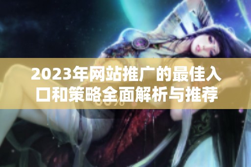 2023年网站推广的最佳入口和策略全面解析与推荐
