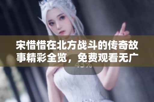 宋惜惜在北方战斗的传奇故事精彩全览，免费观看无广告干扰