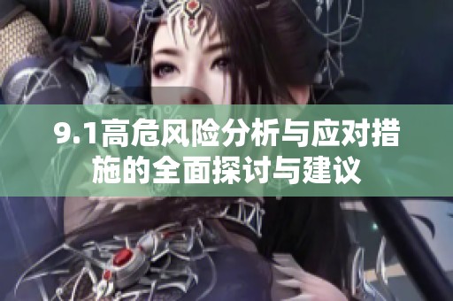 9.1高危风险分析与应对措施的全面探讨与建议