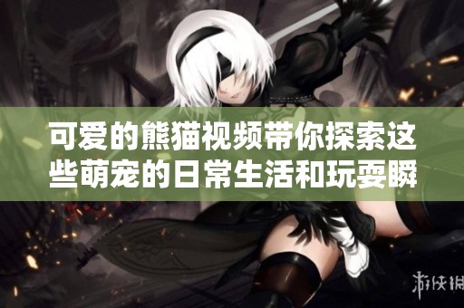 可爱的熊猫视频带你探索这些萌宠的日常生活和玩耍瞬间