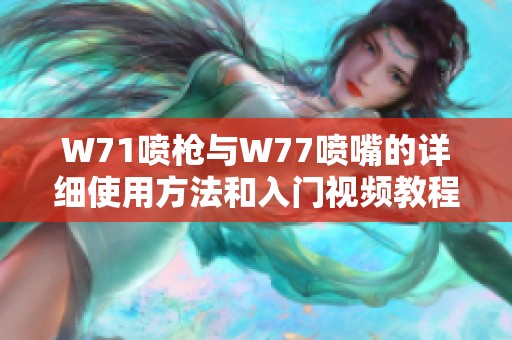 W71喷枪与W77喷嘴的详细使用方法和入门视频教程分享