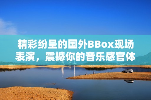 精彩纷呈的国外BBox现场表演，震撼你的音乐感官体验