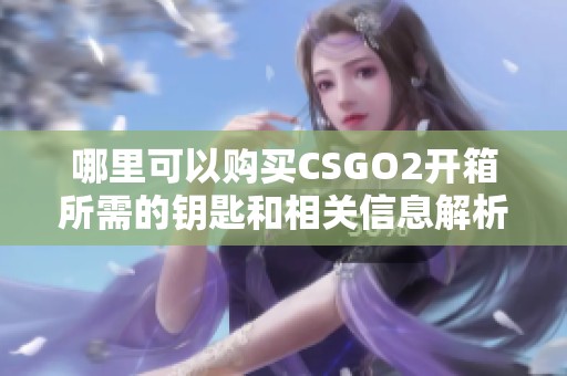 哪里可以购买CSGO2开箱所需的钥匙和相关信息解析