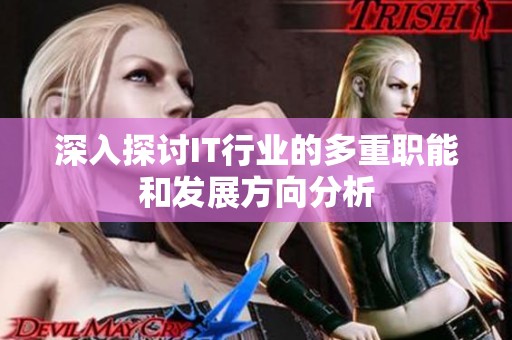 深入探讨IT行业的多重职能和发展方向分析