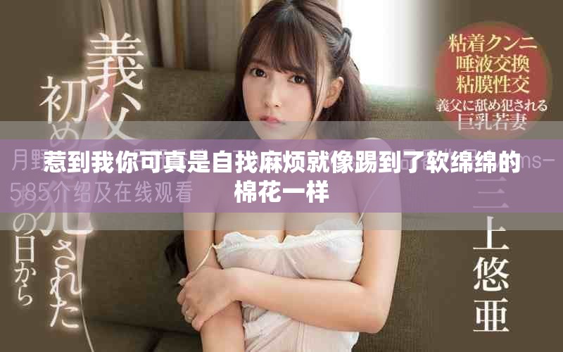 惹到我你可真是自找麻烦就像踢到了软绵绵的棉花一样