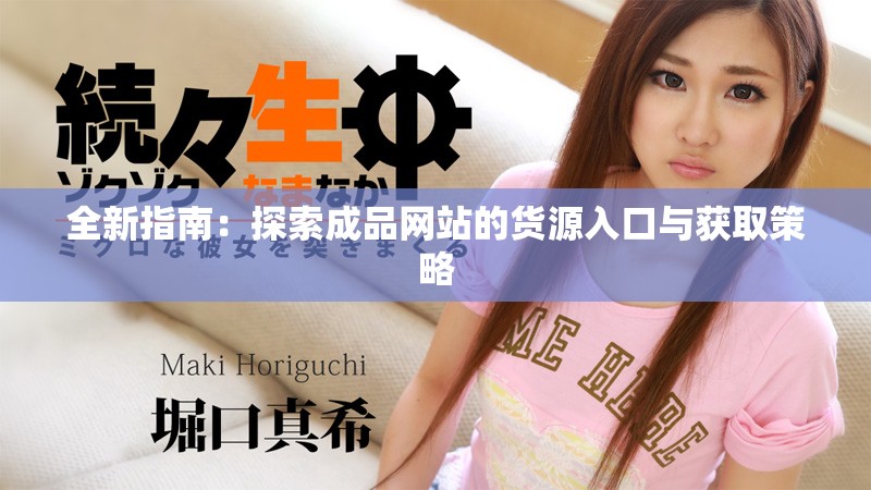全新指南：探索成品网站的货源入口与获取策略