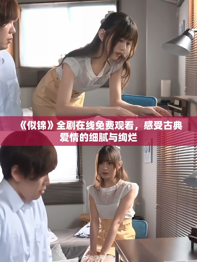 《似锦》全剧在线免费观看，感受古典爱情的细腻与绚烂