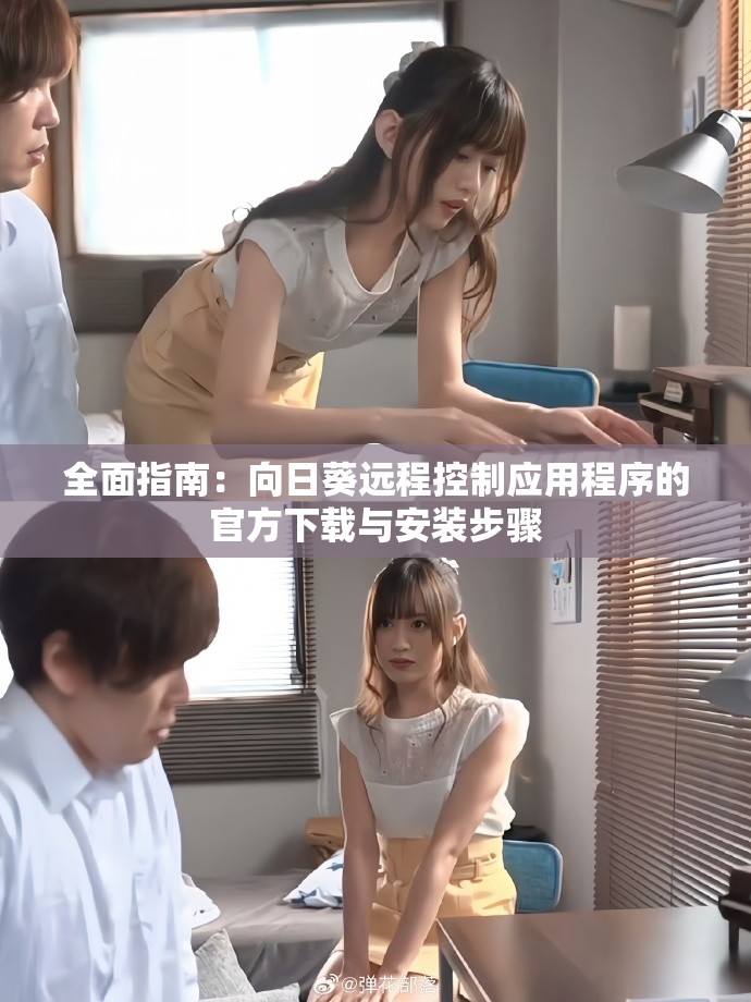 全面指南：向日葵远程控制应用程序的官方下载与安装步骤