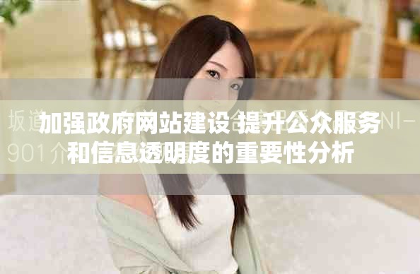 加强政府网站建设 提升公众服务和信息透明度的重要性分析