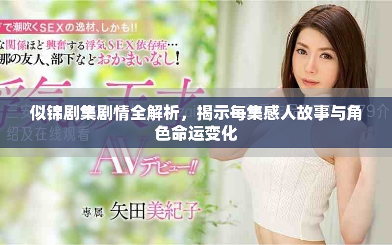 似锦剧集剧情全解析，揭示每集感人故事与角色命运变化