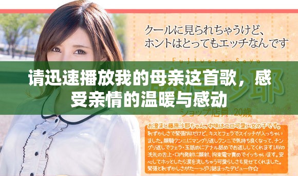 请迅速播放我的母亲这首歌，感受亲情的温暖与感动