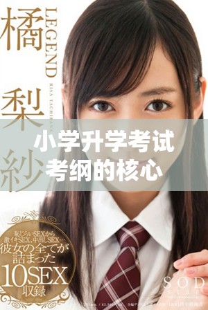 小学升学考试考纲的核心知识点详解与复习要点分析