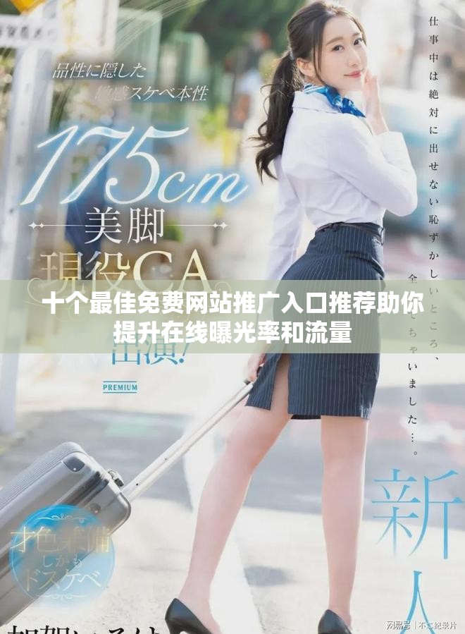 十个最佳免费网站推广入口推荐助你提升在线曝光率和流量
