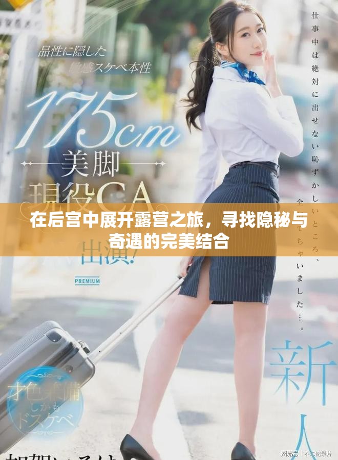 在后宫中展开露营之旅，寻找隐秘与奇遇的完美结合