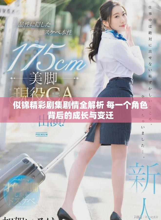 似锦精彩剧集剧情全解析 每一个角色背后的成长与变迁