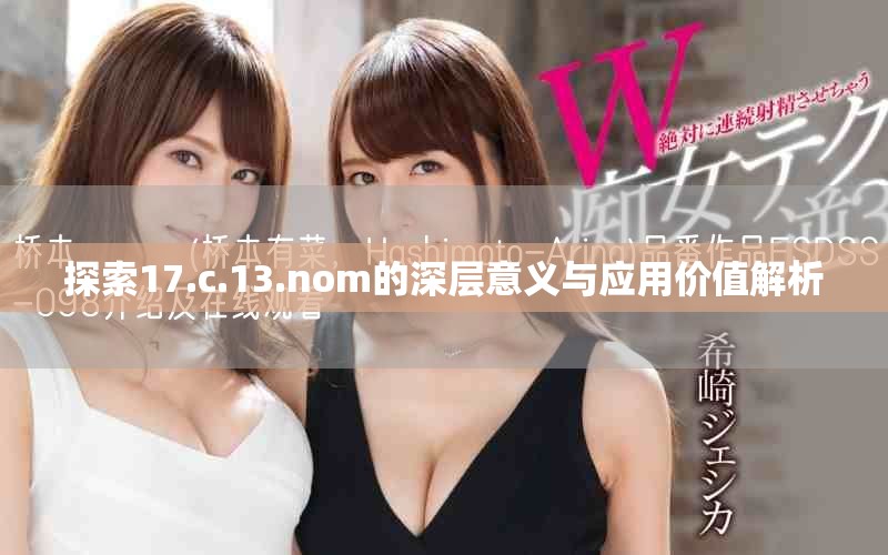 探索17.c.13.nom的深层意义与应用价值解析
