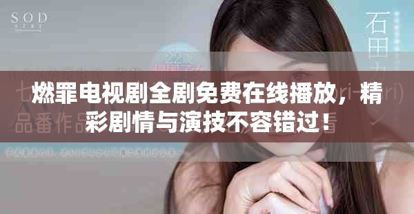 燃罪电视剧全剧免费在线播放，精彩剧情与演技不容错过！