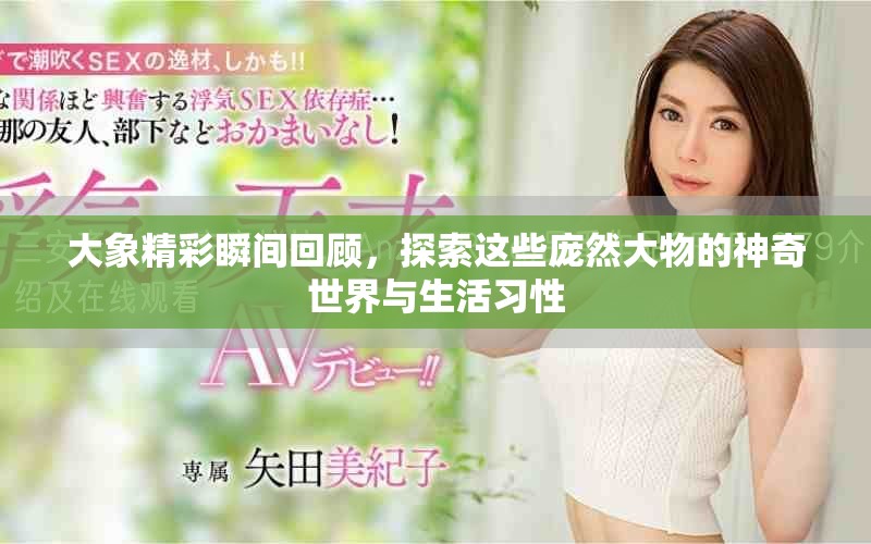 大象精彩瞬间回顾，探索这些庞然大物的神奇世界与生活习性