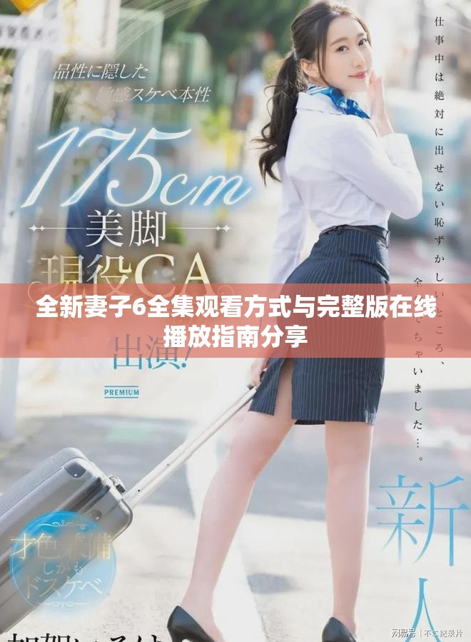 全新妻子6全集观看方式与完整版在线播放指南分享