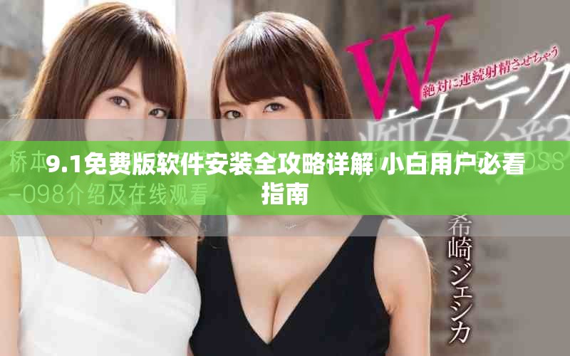9.1免费版软件安装全攻略详解 小白用户必看指南
