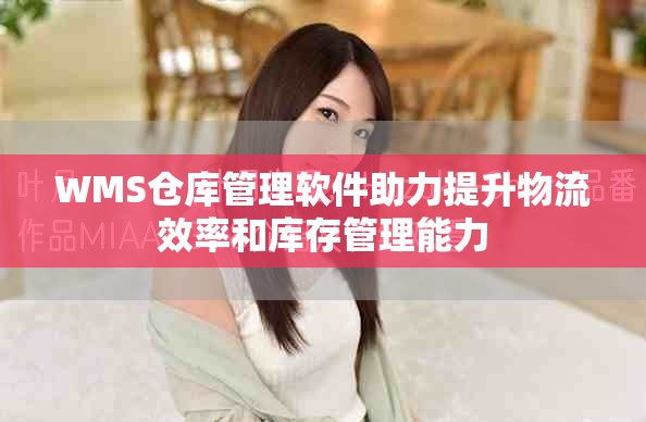 WMS仓库管理软件助力提升物流效率和库存管理能力