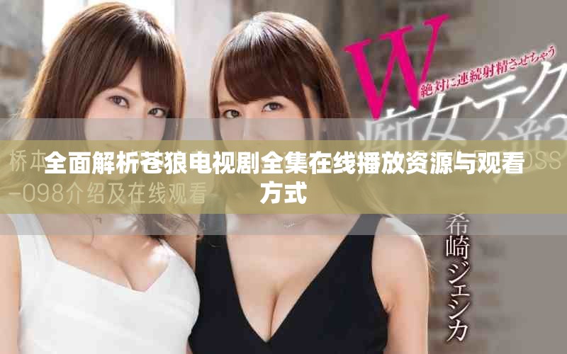 全面解析苍狼电视剧全集在线播放资源与观看方式