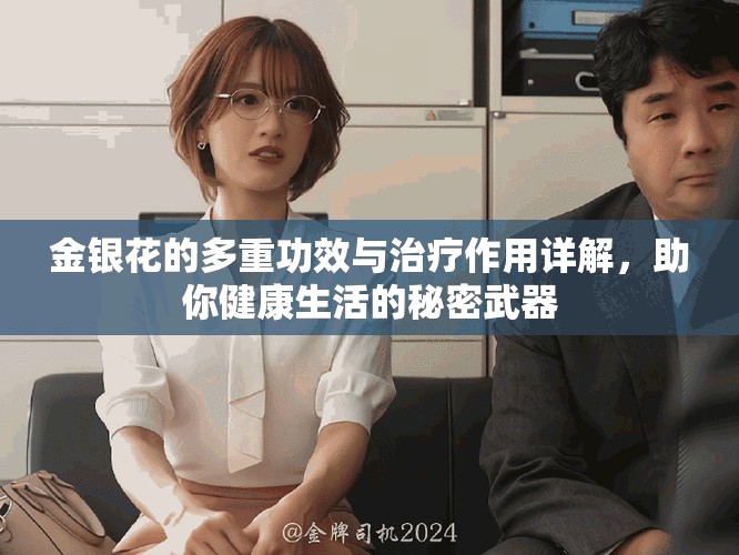 金银花的多重功效与治疗作用详解，助你健康生活的秘密武器