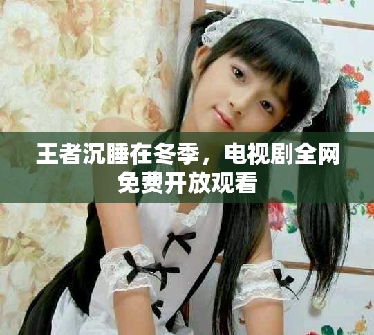 王者沉睡在冬季，电视剧全网免费开放观看