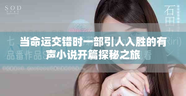 当命运交错时一部引人入胜的有声小说开篇探秘之旅