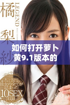 如何打开萝卜黄9.1版本的完整教程与步骤揭秘
