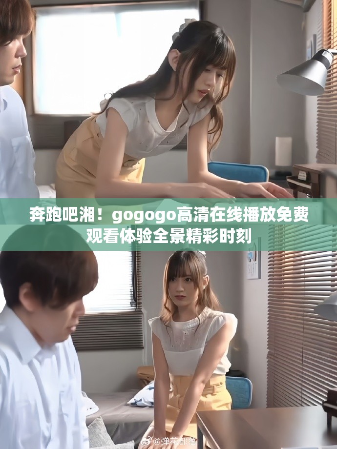 奔跑吧湘！gogogo高清在线播放免费观看体验全景精彩时刻