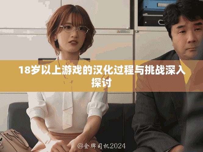 18岁以上游戏的汉化过程与挑战深入探讨