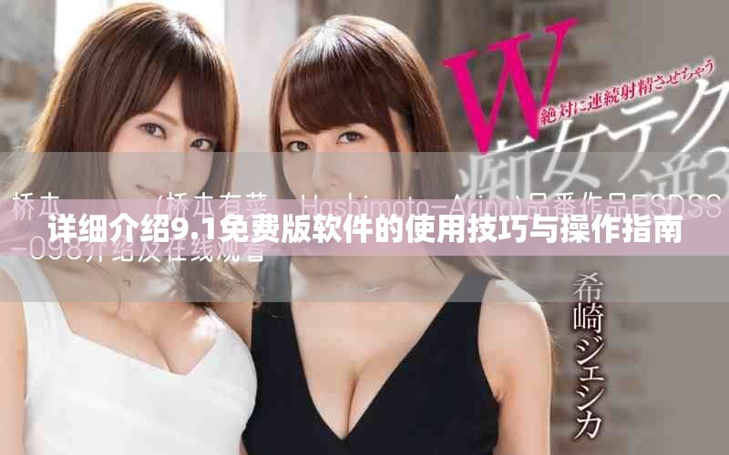 详细介绍9.1免费版软件的使用技巧与操作指南