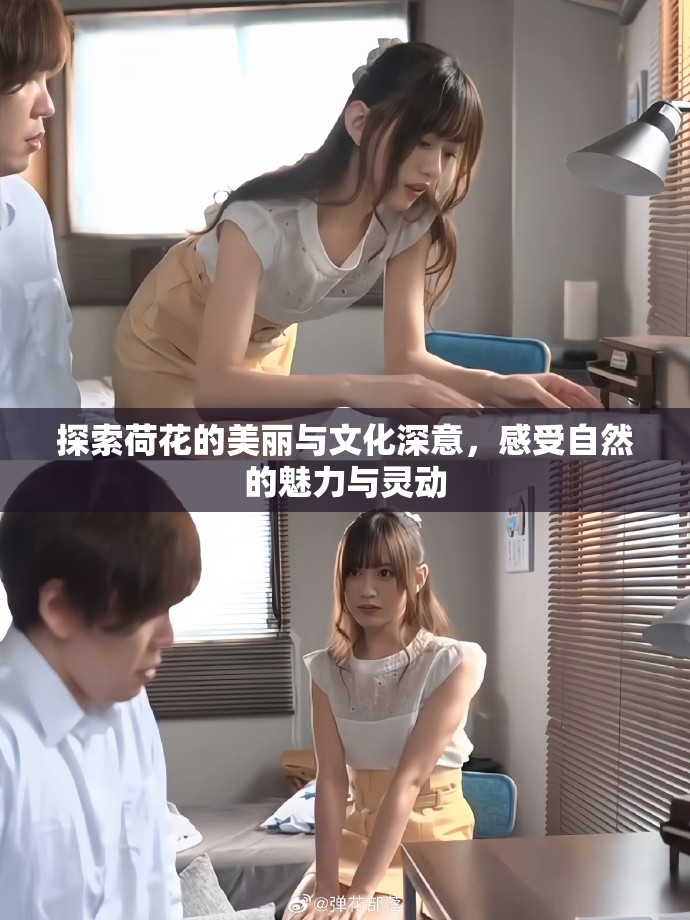 探索荷花的美丽与文化深意，感受自然的魅力与灵动