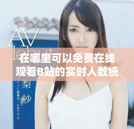 在哪里可以免费在线观看B站的实时人数统计呢